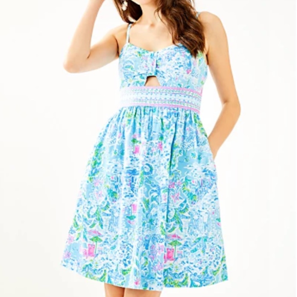 Lilly Pulitzer lovely place katlyn dress size 12 worn once